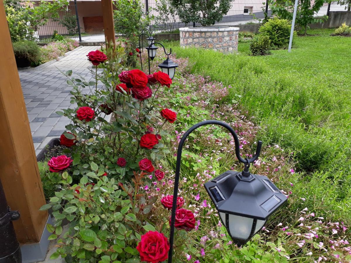 Private Home Rifat Dubrave Gornje Ruang foto